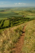 Milá