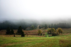 Königsmühle