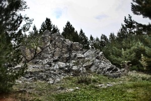 IMG_0305 (1)