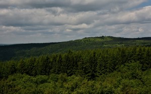 012_9542