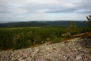 Kahleberg