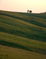 Moldava